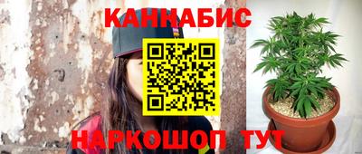 дурь Сланцы