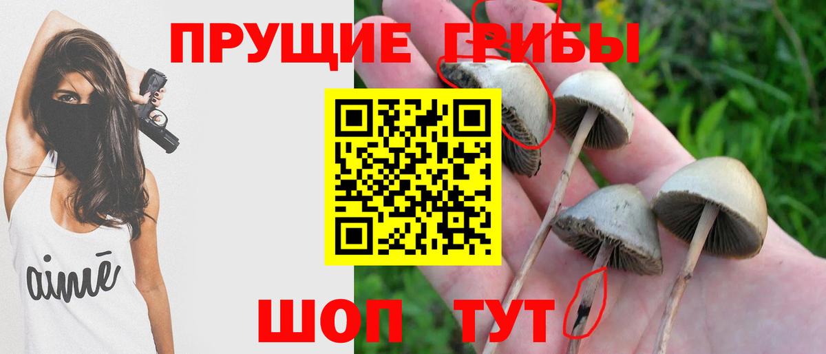 Галлюциногенные грибы ЛСД  Вход с VPN  Дальнереченск 